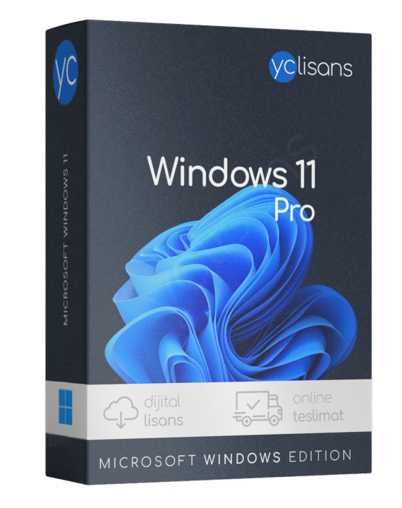 Windows11 pro